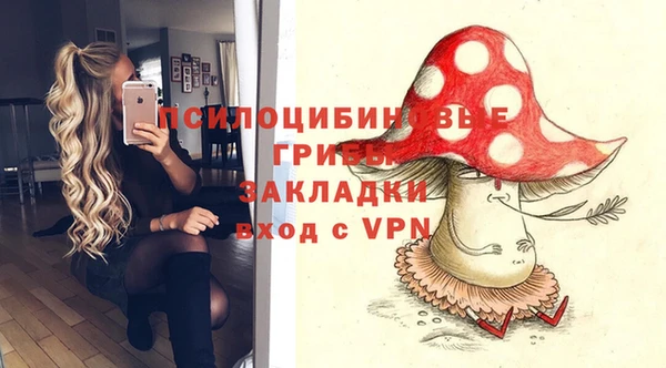гашик Протвино