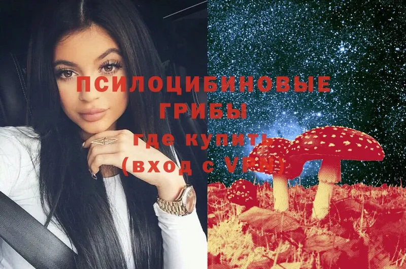 Псилоцибиновые грибы Psilocybe  Сорочинск 