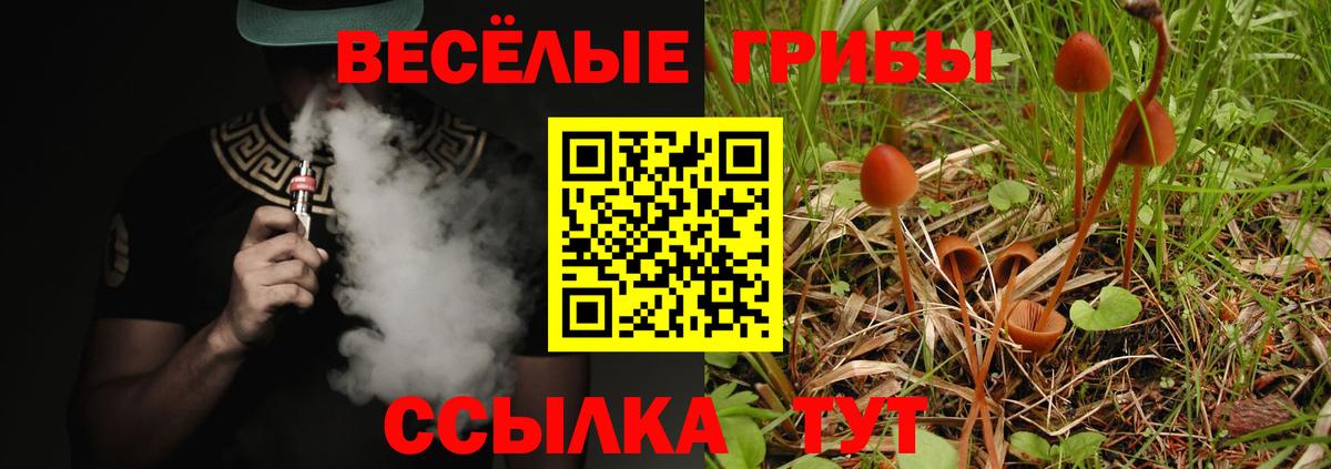 Галлюциногенные грибы Psilocybe Сорочинск