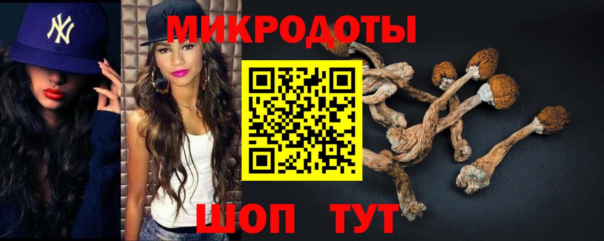 Галлюциногенные грибы прущие грибы  Сорочинск  Псилоцибиновые грибы прущие грибы 